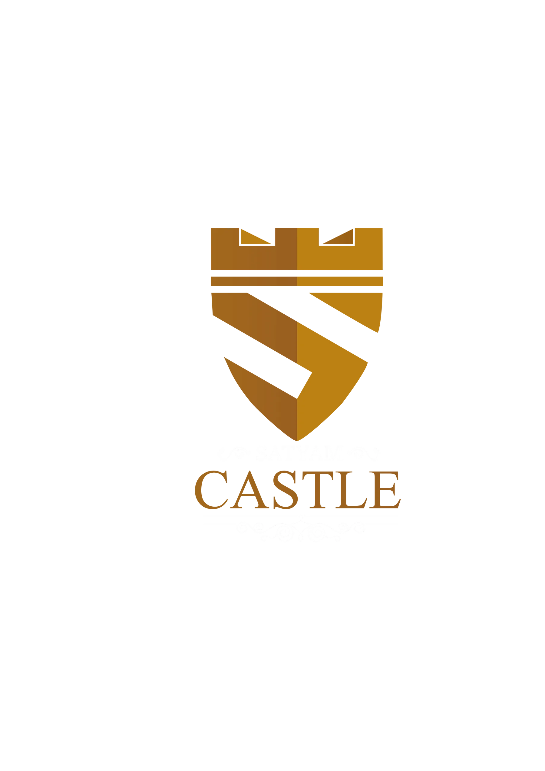 Satyam Group